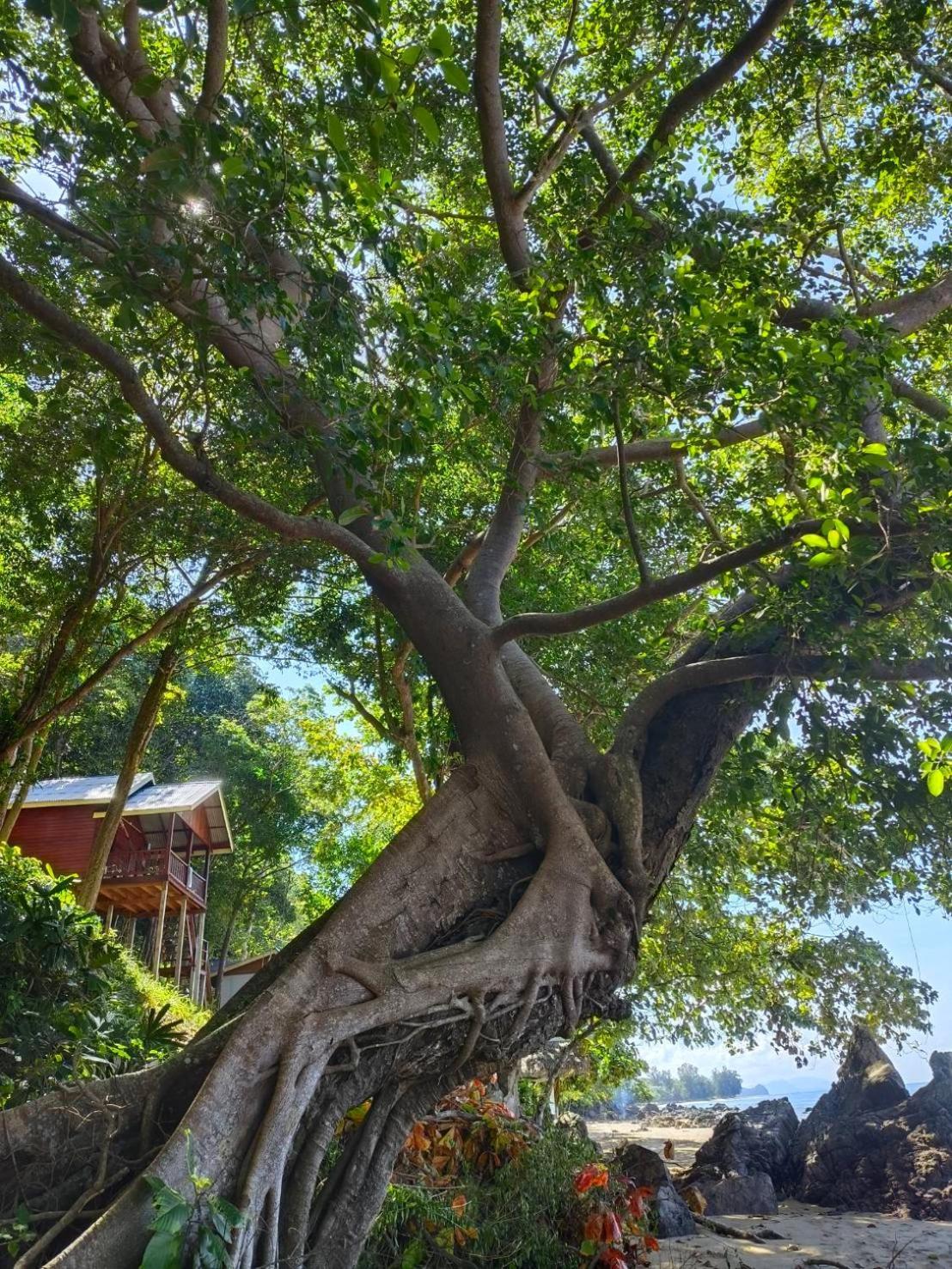 Kohjum Seafront Resort Koh Jum Εξωτερικό φωτογραφία